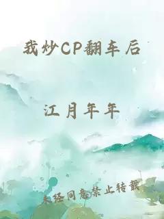 我炒CP翻車后