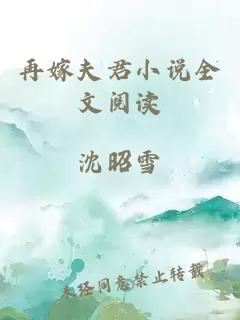 再嫁夫君小說全文閱讀