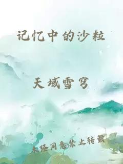 記憶中的沙粒