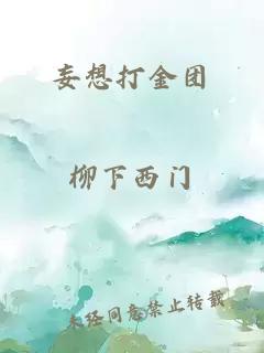 妄想打金團(tuán)