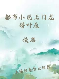 都市小說上門龍婿葉辰