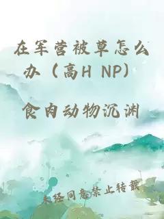 在軍營被草怎么辦（高H NP）