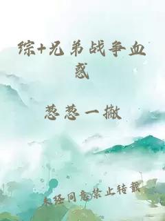 綜+兄弟戰(zhàn)爭(zhēng)血惑