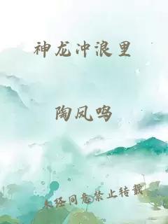 神龍沖浪里