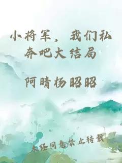 小將軍，我們私奔吧大結局